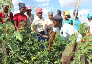 Humana. Fundacion pueblo para pueblo