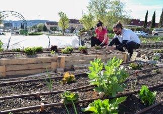 Humana. Fundacion pueblo para pueblo