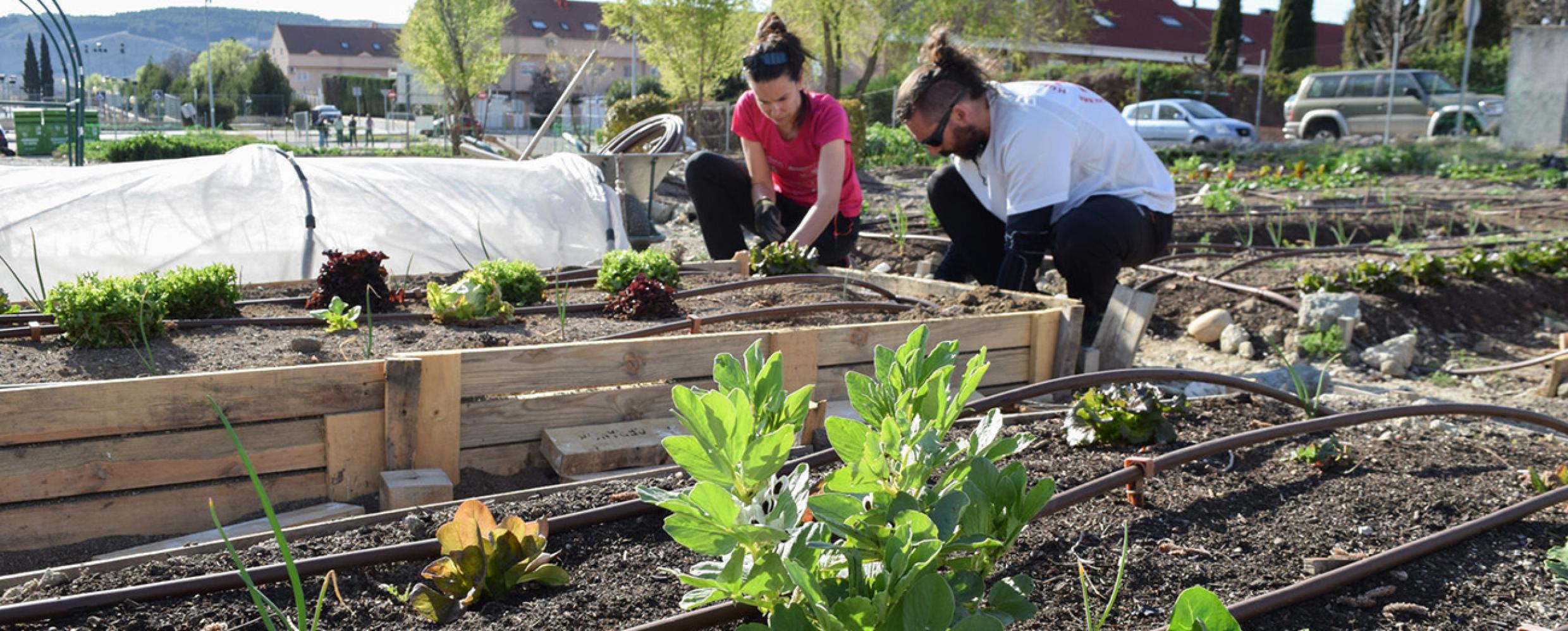 humana_3c_agricultura-urbana.jpg