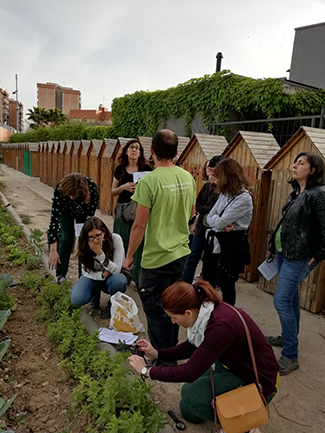 La Red de Ciudades y Pueblos a favor de la Sostenibilidad visita 3C-img2