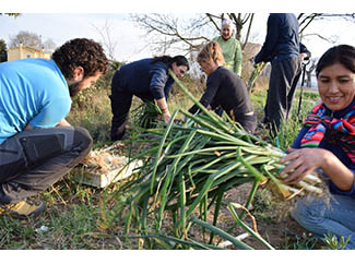 El 3C y la agricultura social echan raíces-img1