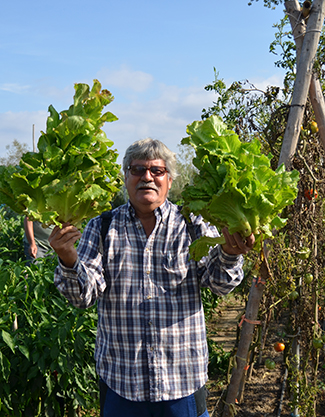 3C, unit al Banc d'Aliments de Tordera-img2