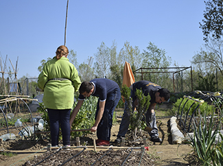 3C segueix donant els seus fruits-img3