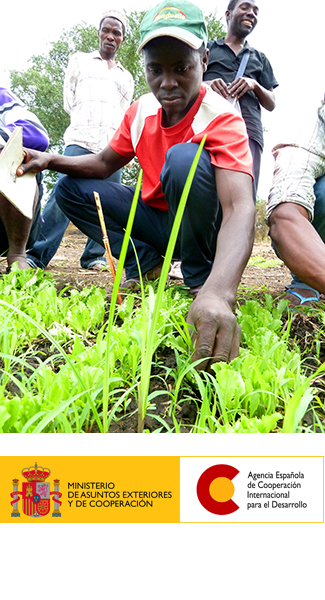 Emprendedores agrícolas en Mozambique-img2