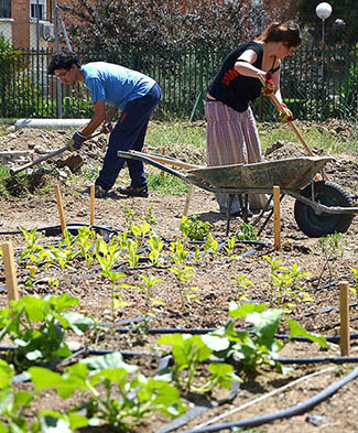 El 3C y la agricultura social echan raíces-img2