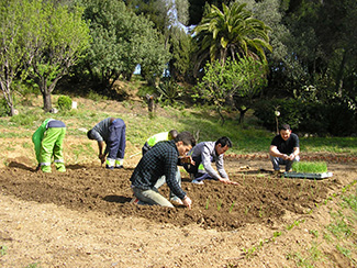 Únete al proyecto de agricultura urbana de Humana-img1