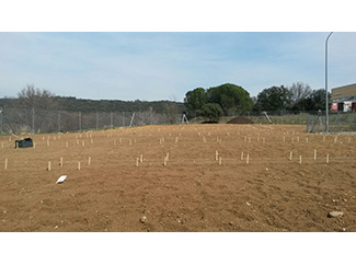 En marxa el projecte 3C de San Agustín de Guadalix-img1