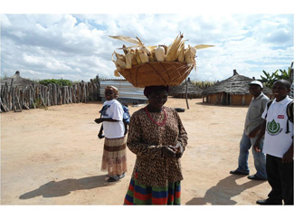 The project Farmers' Club in Cabinda, Angola, is running-img1