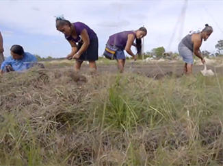 Building climate resilience in Toledo District, Belize-img2