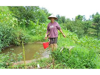 Cheap, easy and sustainable solution to meeting water needs-img1