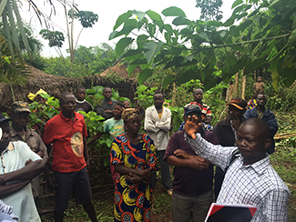 Farmers Club Congo: la duración de los proyectos, una de las claves-img1