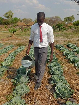 Success stories in Children's Town, Zambia-img2