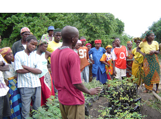 Today is the World Environment Day-img1