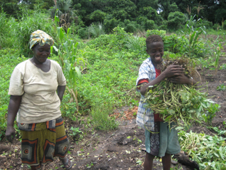 Trabajando a favor de la seguridad alimentaria en Quinara, Guinea-Bissau-img2