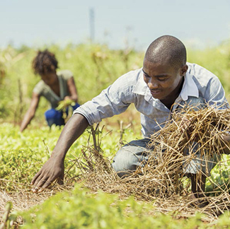 Everybody is involved in zero hunger challenge-img3