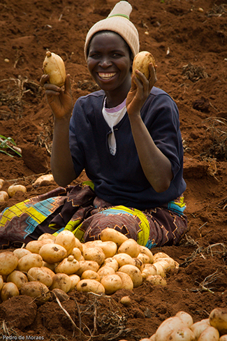 Everybody is involved in zero hunger challenge-img2