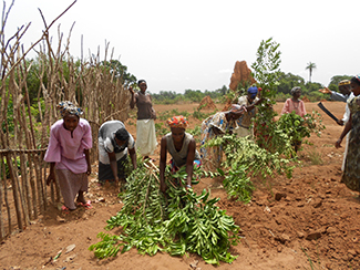 Increased access to land tenure rights for women-img3