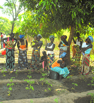 La importància de millorar l'accés de la dona a la terra-img2