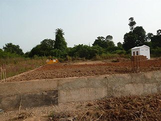 Procesamiento de anacardos y seguridad alimentaria en Guinea-Bissau-img1