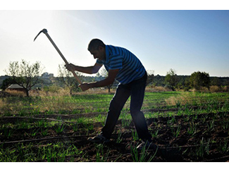 Humana consolida el seu programa d'agricultura social-img2