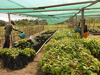 World Environment Day 2024: Humanity depends on land to survive-img1