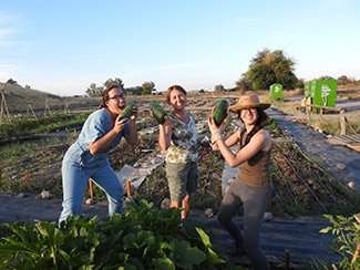 Become a Friend of the 3C Isla de Tercia urban and social agriculture program-img1