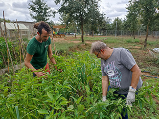 The 3C community gardens of l’Ametlla del Vallès face a new cycle with optimism-img1