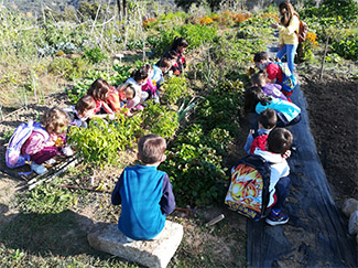 60 schoolchildren visit the urban garden 3C of San Agustín del Guadalix (Madrid)-img1