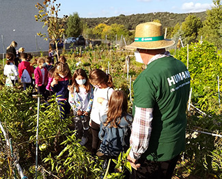 60 schoolchildren visit the urban garden 3C of San Agustín del Guadalix (Madrid)-img2