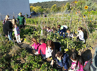 60 schoolchildren visit the urban garden 3C of San Agustín del Guadalix (Madrid)-img3