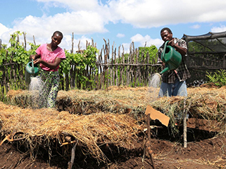 Keep working together with the communities of the Southern countries-img1