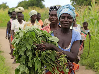 Día de África 2022: el año del gran desafío de la nutrición-img1