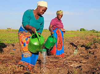 8M: cuando género, equidad social y cambio climático van de la mano-img1