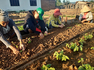 Laos: implementing climate-smart agriculture project in Khammuane -img2