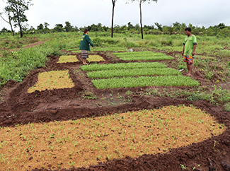 Laos: implementing climate-smart agriculture project in Khammuane -img1