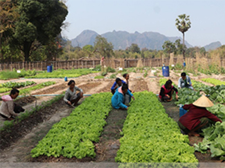 Laos: agricultura y ganadería sostenibles para mejorar la vida de las personas-img1