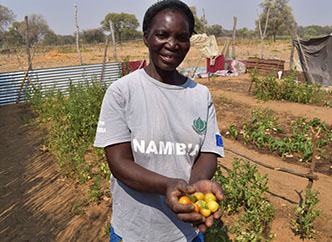 Gracias por colaborar en la campaña de apoyo a Namibia-img1