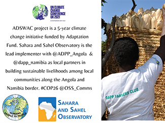 COP26: adaptació a les conseqüències del canvi climàtic al Sahel-img1