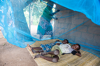 World Malaria Day: Eliminar la enfermedad es responsabilidad de todos-img2