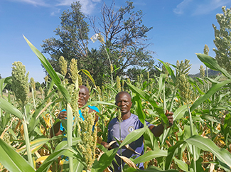 Farmers' Clubs Chivi Film: Building Community Resilience Against Climate Change Impact-img1
