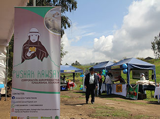 The project to support 250 small farmers in Quisapincha, in Ecuador, ends-img1