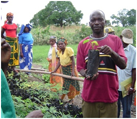 The bio-fuel center in Cabo Delgado, Mozambique up and running-img1