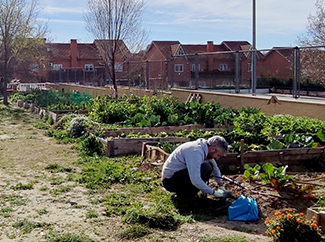 Soberanía alimentaria y refugio emocional, así es el poder del huerto 3C en Rivas Vaciamadrid-img2