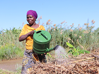 8M y el papel de las mujeres agricultoras en el Sur Global -img2