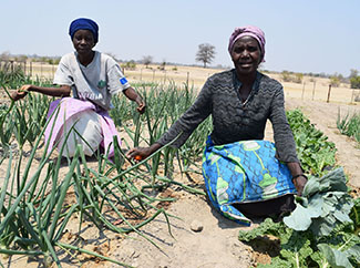 Humana presenta su primer Informe de sostenibilidad-img3
