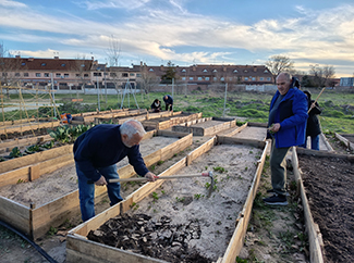 El huerto urbano de Ciempozuelos, en Madrid, se llena de vida-img2