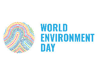 Día Mundial del Medio Ambiente: rechaza lo que no puedas reutilizar-img1